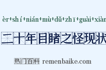 二十年目睹之怪现状是什么意思的图片